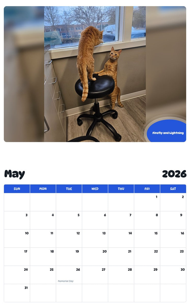 2026 - 2027 Firefly and Lightning - Pawidols Pet Calendar