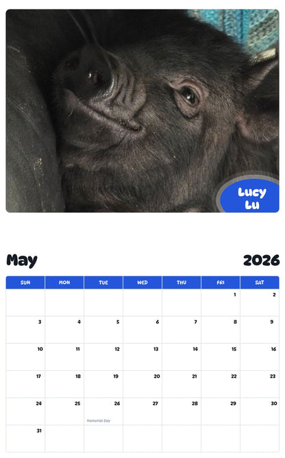 2026 - 2027 Lucy Lu - Pawidols Pet Calendar
