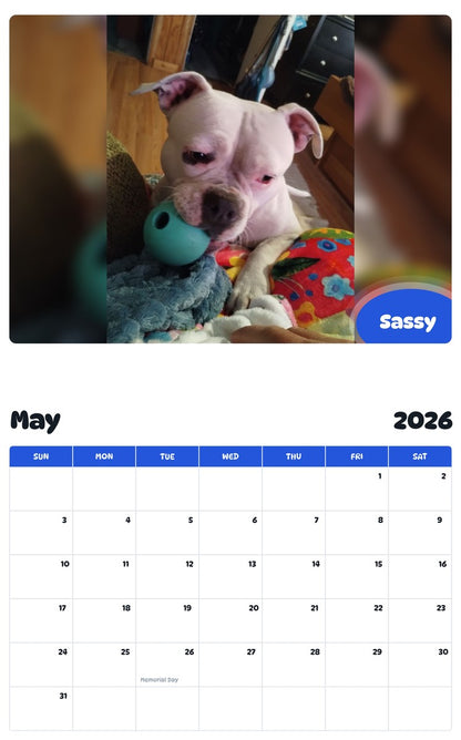 2026 - 2027 Sassy - Pawidols Pet Calendar