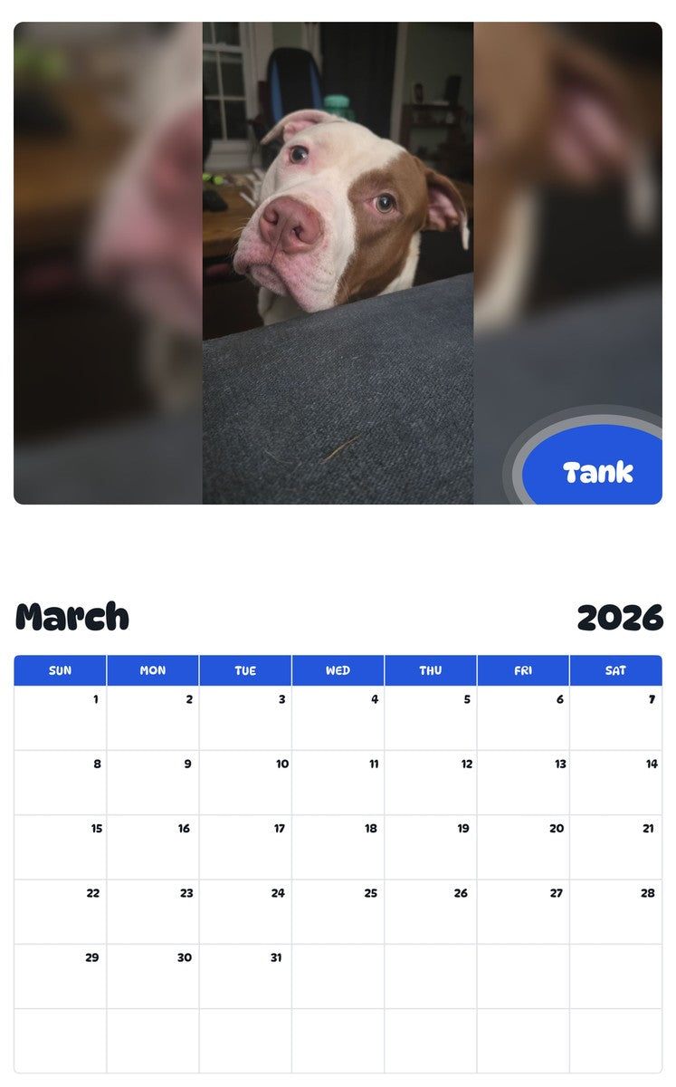 November 2025 - October 2026 Tank - Pawidols Pet Calendar