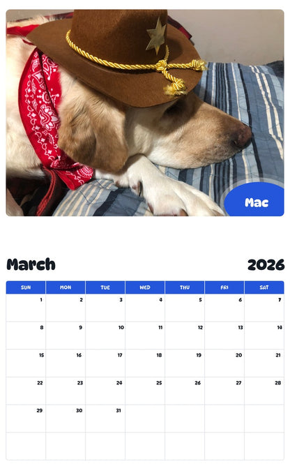 November 2025 - October 2026 Mac - Pawidols Pet Calendar