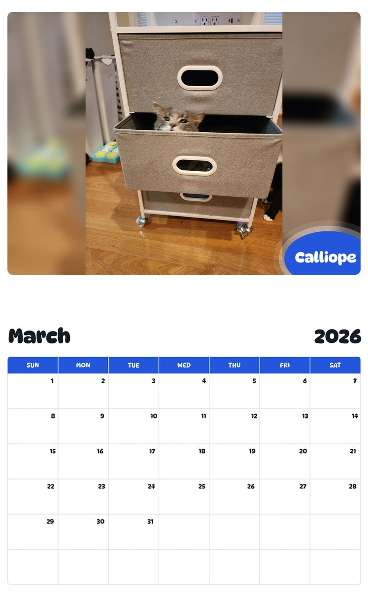 November 2025 - October 2026 Calliope - Pawidols Pet Calendar
