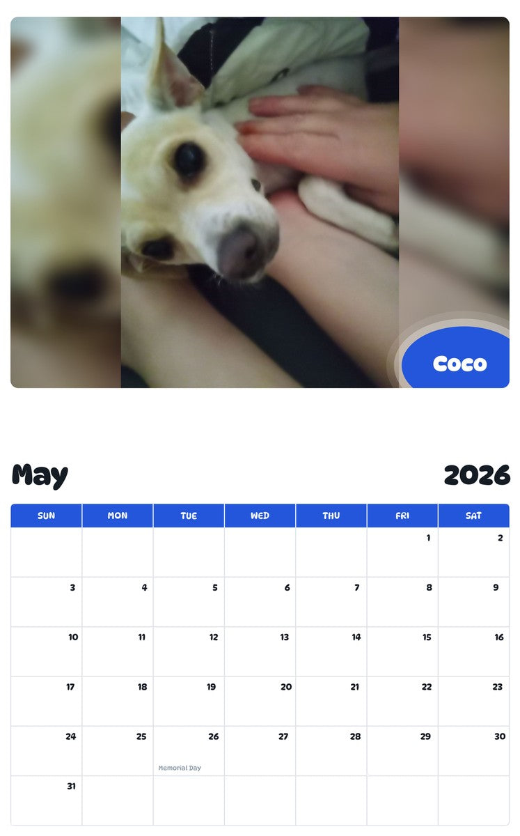 2026 - 2027 Coco - Pawidols Pet Calendar