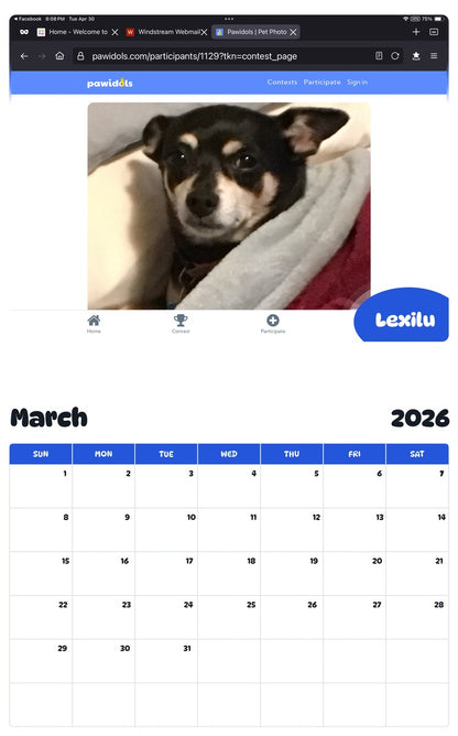 November 2025 - October 2026 Lexilu - Pawidols Pet Calendar