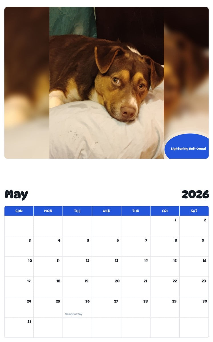 2026 - 2027 Lightening Bolt Oneal - Pawidols Pet Calendar
