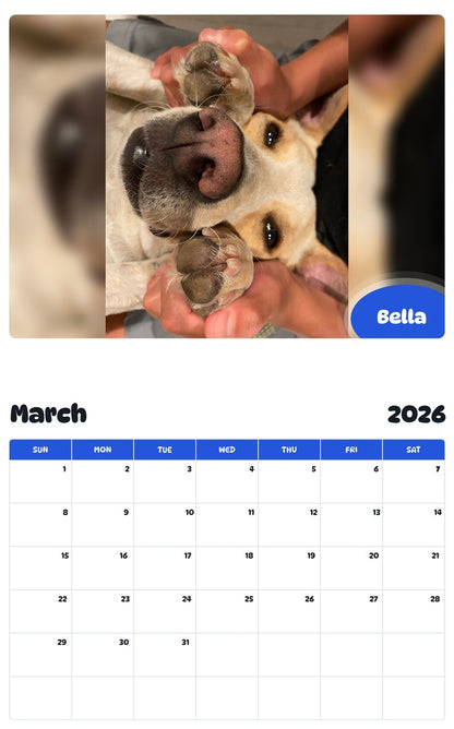 November 2025 - October 2026 Bella - Pawidols Pet Calendar
