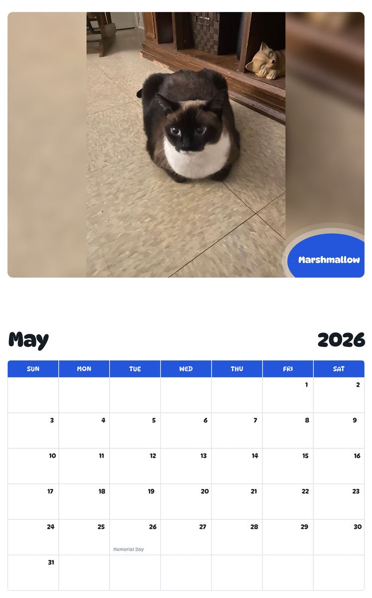 2026 - 2027 Marshmallow - Pawidols Pet Calendar