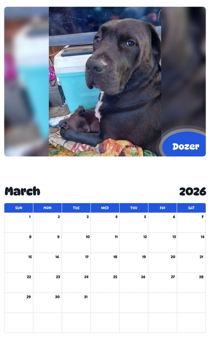 November 2025 - October 2026 Dozer - Pawidols Pet Calendar