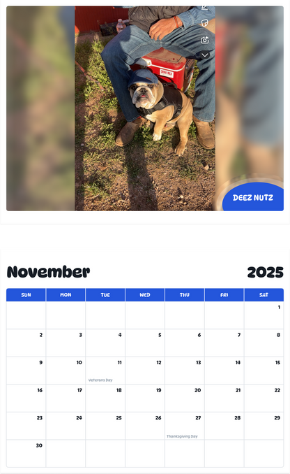 July 2025 - June 2026 Deez Nutz - Pawidols Pet Calendar