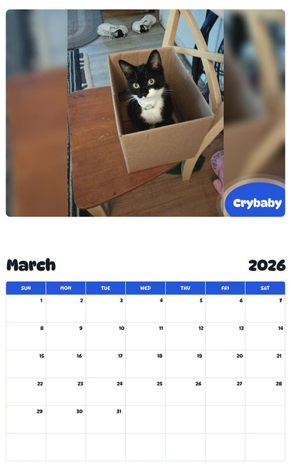 November 2025 - October 2026 Crybaby - Pawidols Pet Calendar