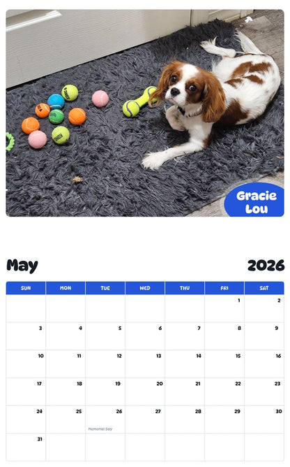 2026 - 2027 Gracie Lou - Pawidols Pet Calendar