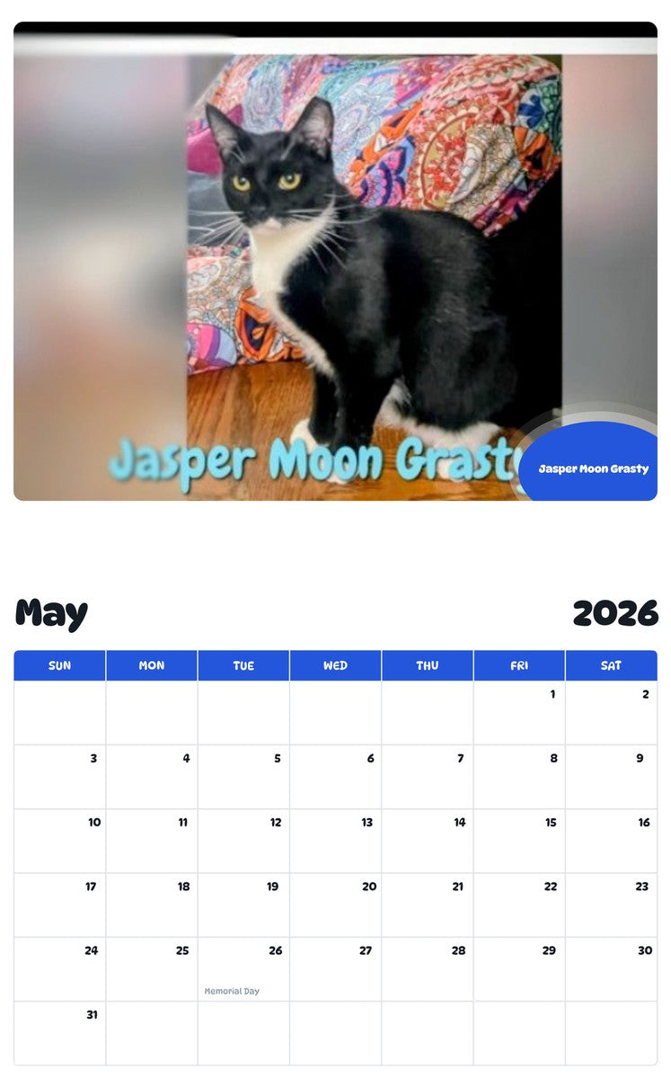 2026 - 2027 Jasper Moon Grasty - Pawidols Pet Calendar