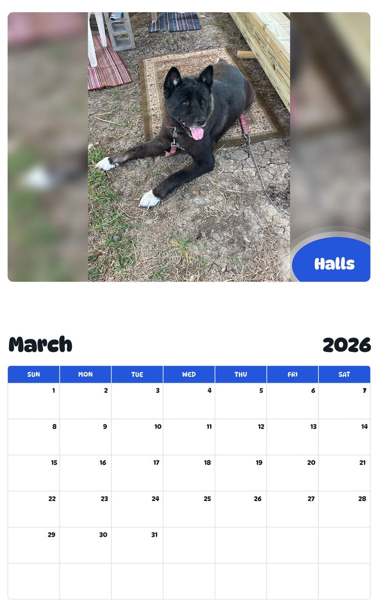 November 2025 - October 2026 Halls - Pawidols Pet Calendar