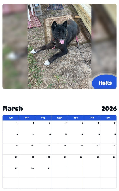 November 2025 - October 2026 Halls - Pawidols Pet Calendar