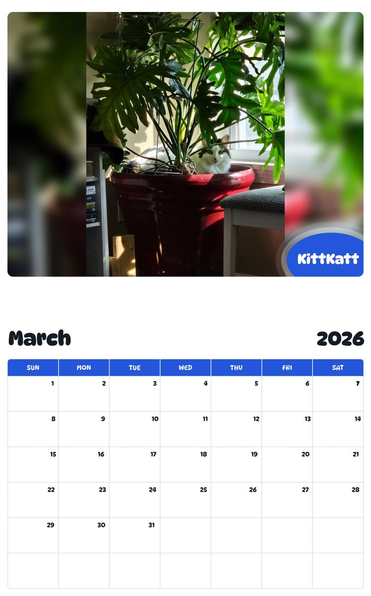 November 2025 - October 2026 KittKatt - Pawidols Pet Calendar