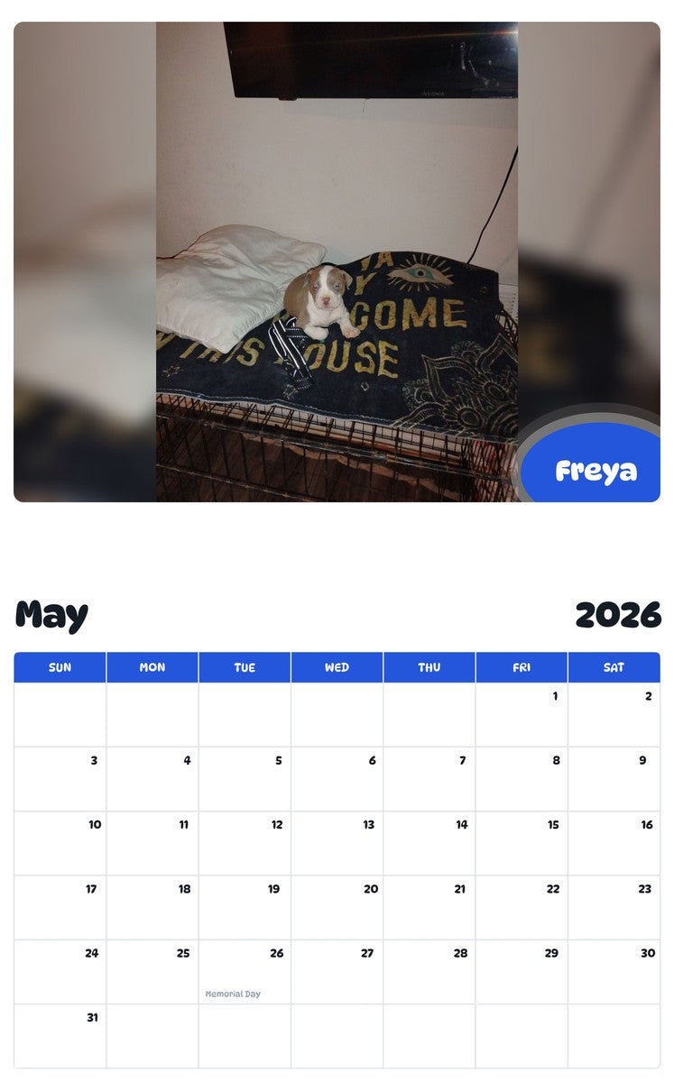 2026 - 2027 Freya - Pawidols Pet Calendar