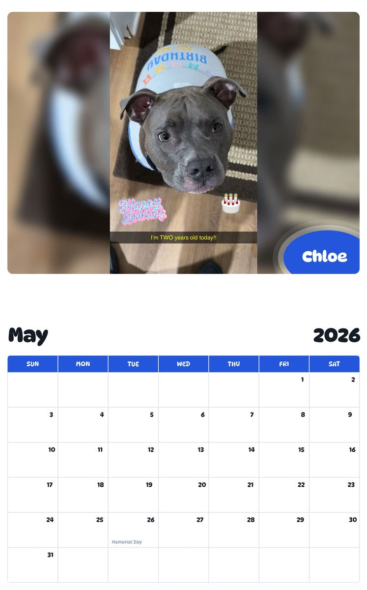 2026 - 2027 Chloe - Pawidols Pet Calendar