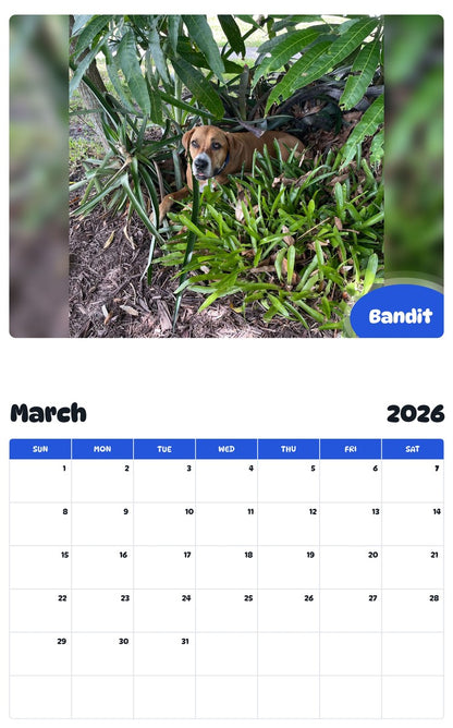November 2025 - October 2026 Bandit - Pawidols Pet Calendar