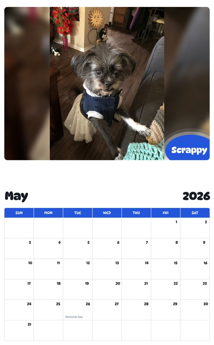2026 - 2027 Scrappy - Pawidols Pet Calendar
