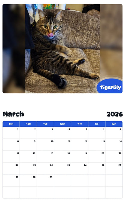November 2025 - October 2026 Tigerlily - Pawidols Pet Calendar