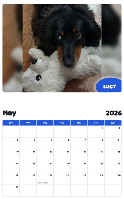 2026 - 2027 LUCY - Pawidols Pet Calendar