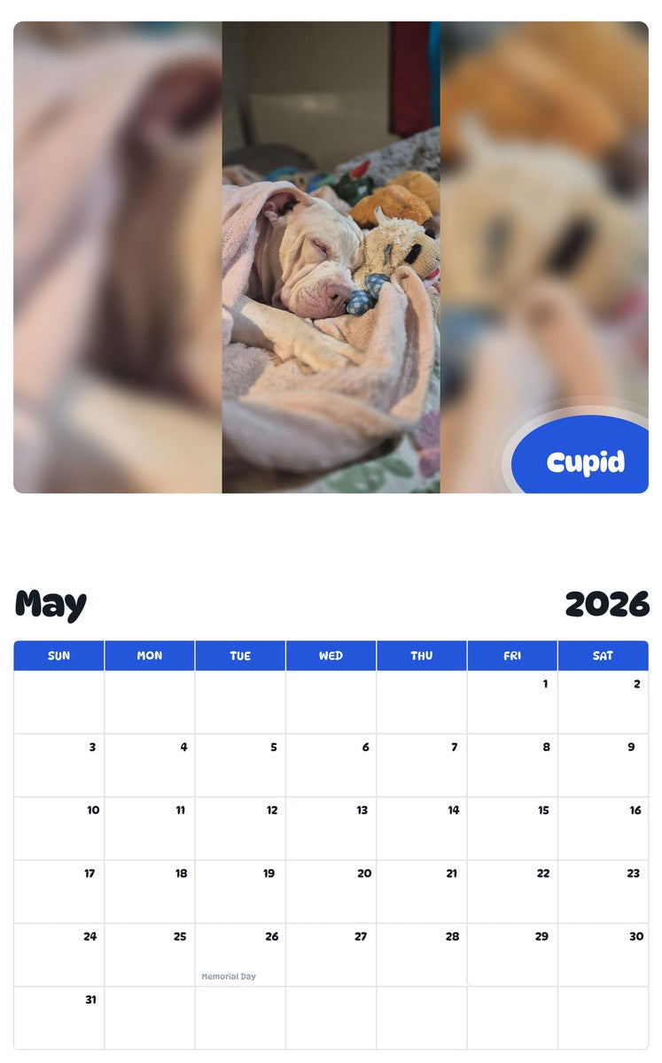 2026 - 2027 Cupid - Pawidols Pet Calendar