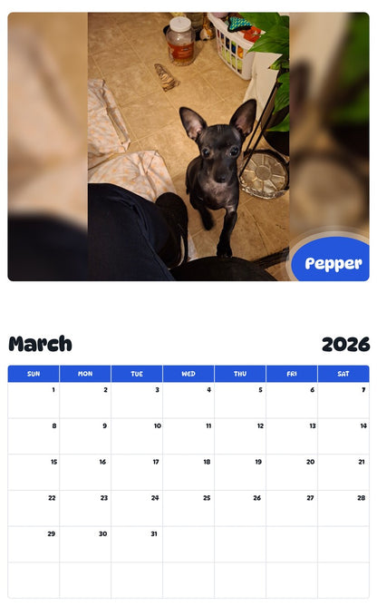 November 2025 - October 2026 Pepper - Pawidols Pet Calendar