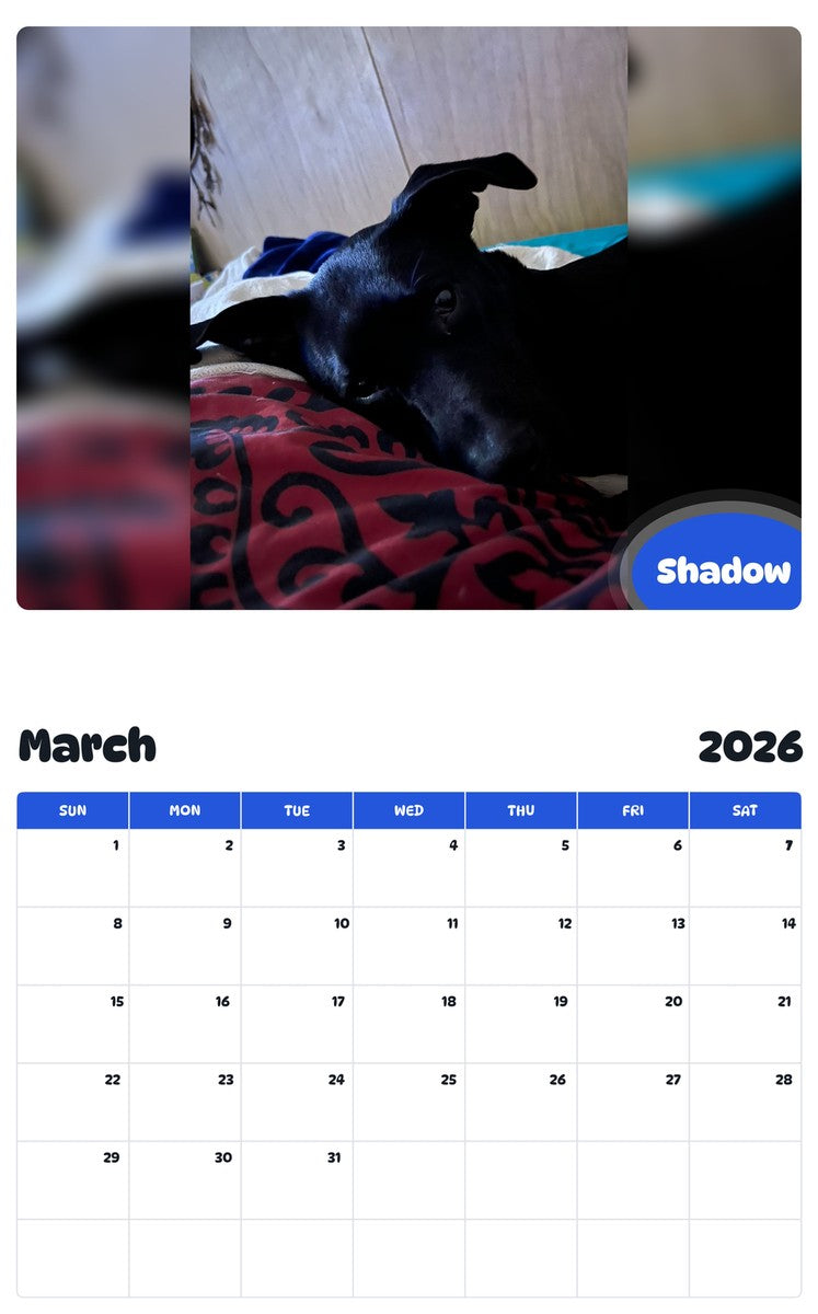 November 2025 - October 2026 Shadow - Pawidols Pet Calendar