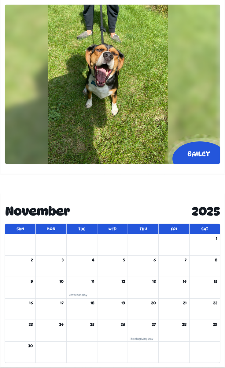 July 2025 - June 2026 Bailey - Pawidols Pet Calendar