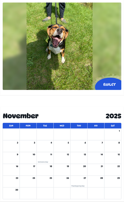 July 2025 - June 2026 Bailey - Pawidols Pet Calendar