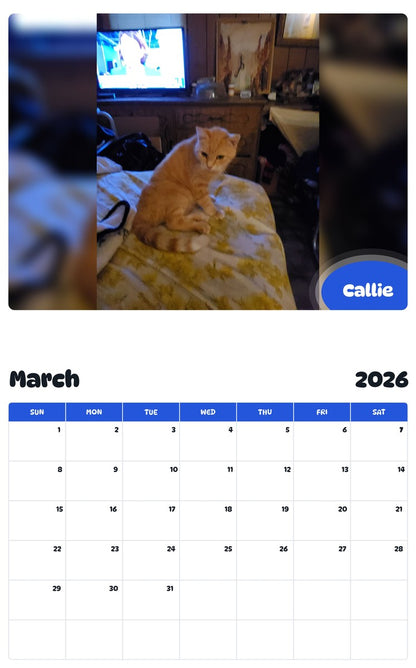 November 2025 - October 2026 Callie - Pawidols Pet Calendar