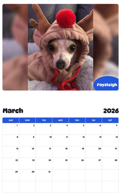 November 2025 - October 2026 Payzleigh - Pawidols Pet Calendar