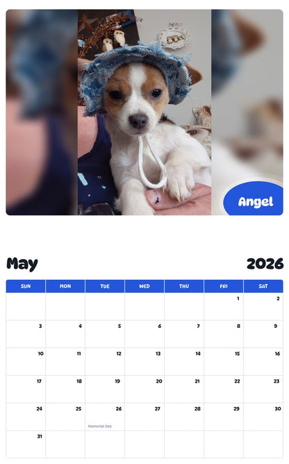2026 - 2027 Angel - Pawidols Pet Calendar