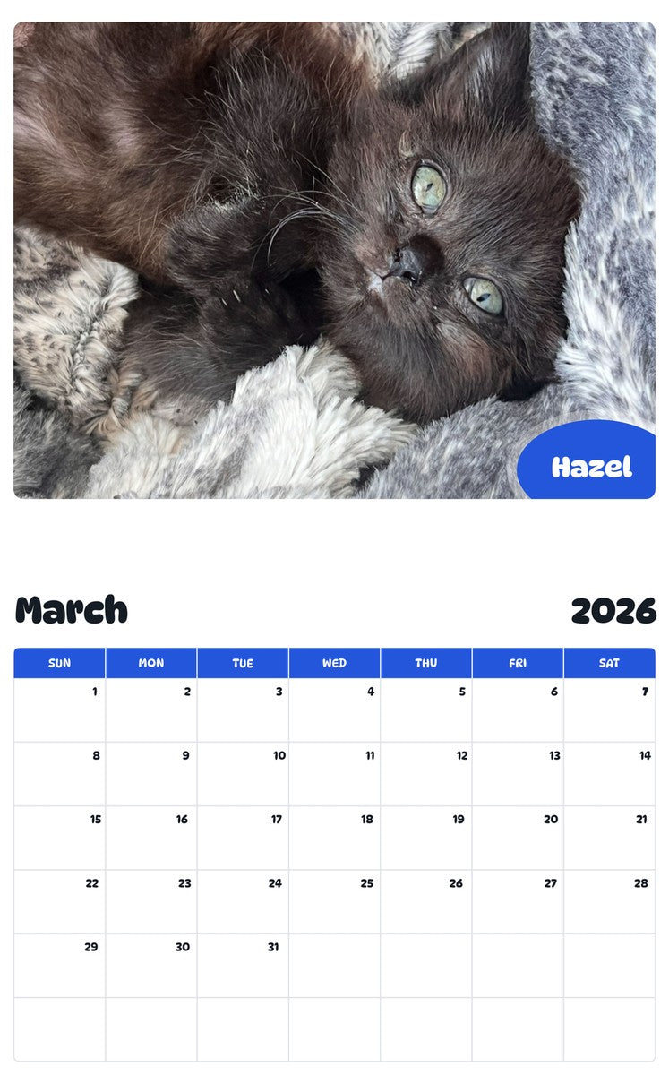 November 2025 - October 2026 Hazel - Pawidols Pet Calendar