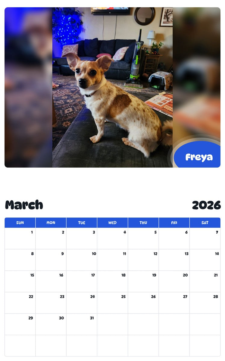 November 2025 - October 2026 Freya - Pawidols Pet Calendar