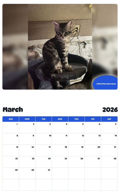 November 2025 - October 2026 Little little meow meow - Pawidols Pet Calendar