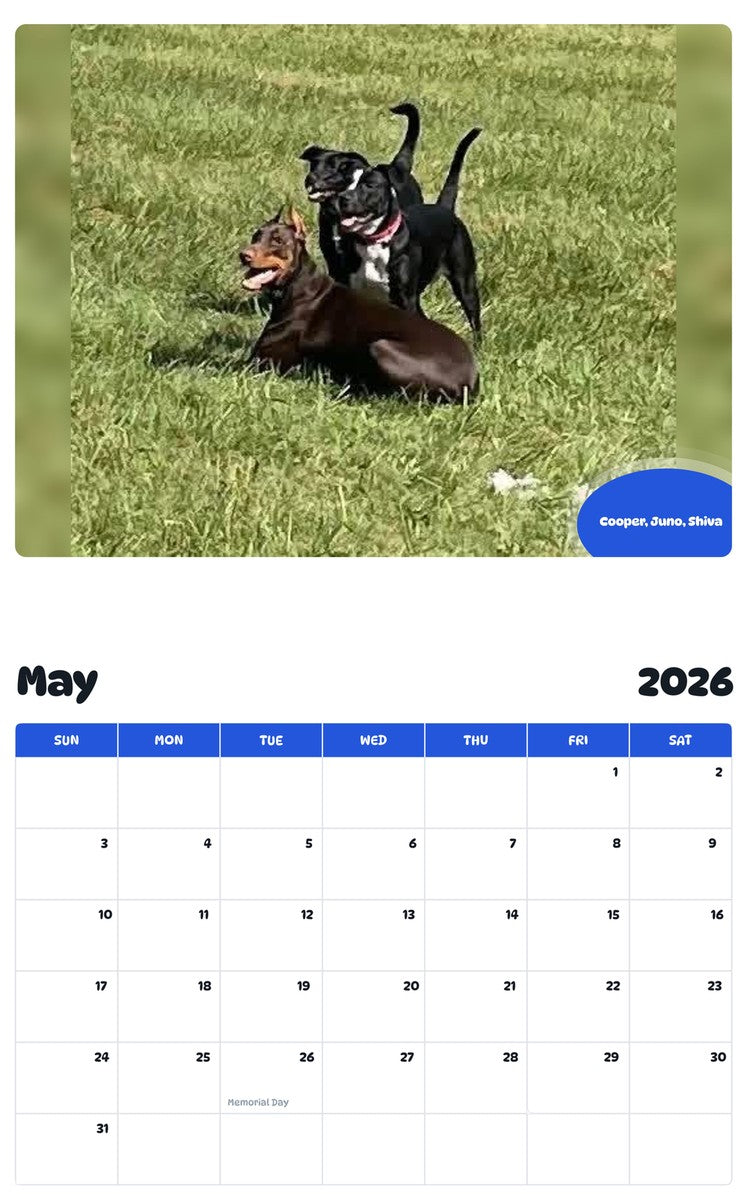 2026 - 2027 Cooper, Juno, Shiva - Pawidols Pet Calendar