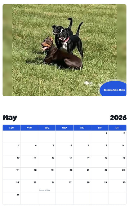 2026 - 2027 Cooper, Juno, Shiva - Pawidols Pet Calendar