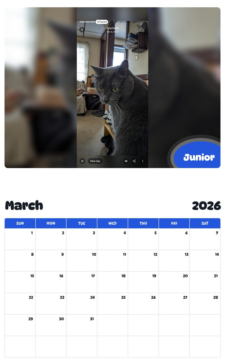 November 2025 - October 2026 Junior - Pawidols Pet Calendar
