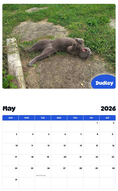 2026 - 2027 Dudley - Pawidols Pet Calendar