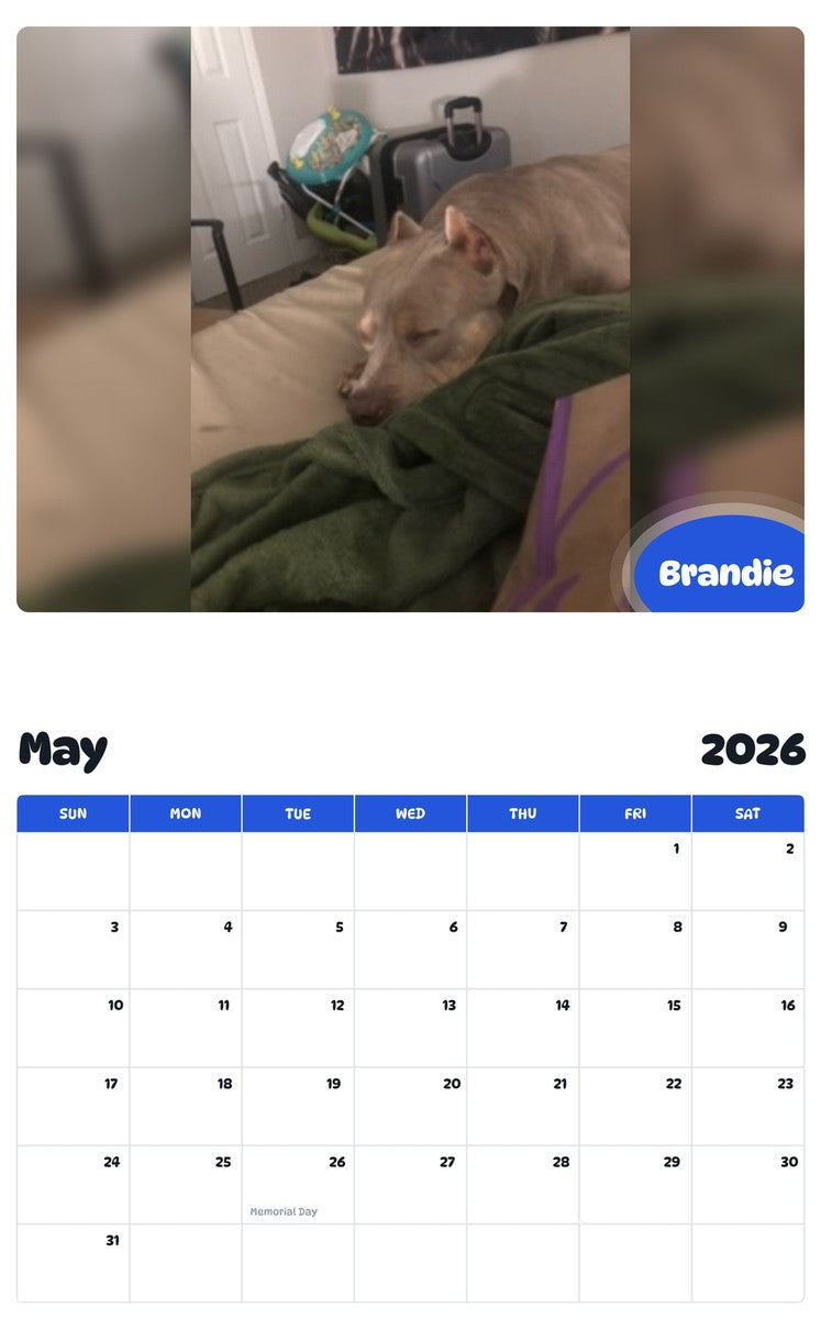 2026 - 2027 Brandie - Pawidols Pet Calendar