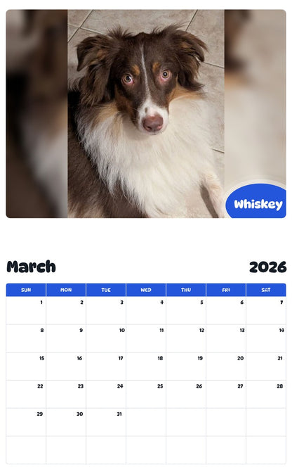 November 2025 - October 2026 Whiskey - Pawidols Pet Calendar