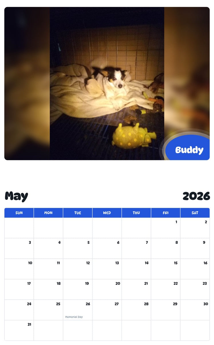 2026 - 2027 Buddy - Pawidols Pet Calendar