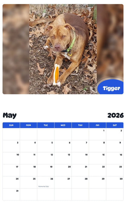 2026 - 2027 Tigger - Pawidols Pet Calendar