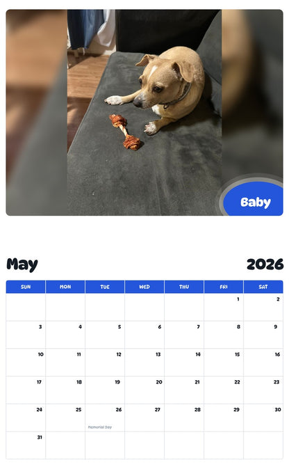 2026 - 2027 Baby - Pawidols Pet Calendar