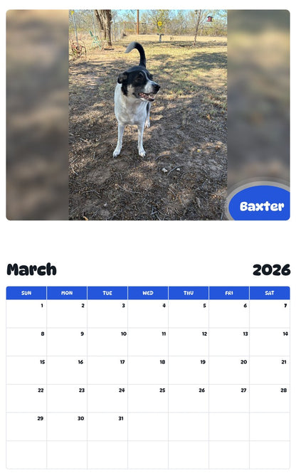 November 2025 - October 2026 Baxter - Pawidols Pet Calendar