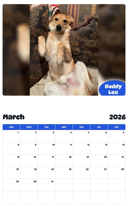 November 2025 - October 2026 Buddy Lee - Pawidols Pet Calendar
