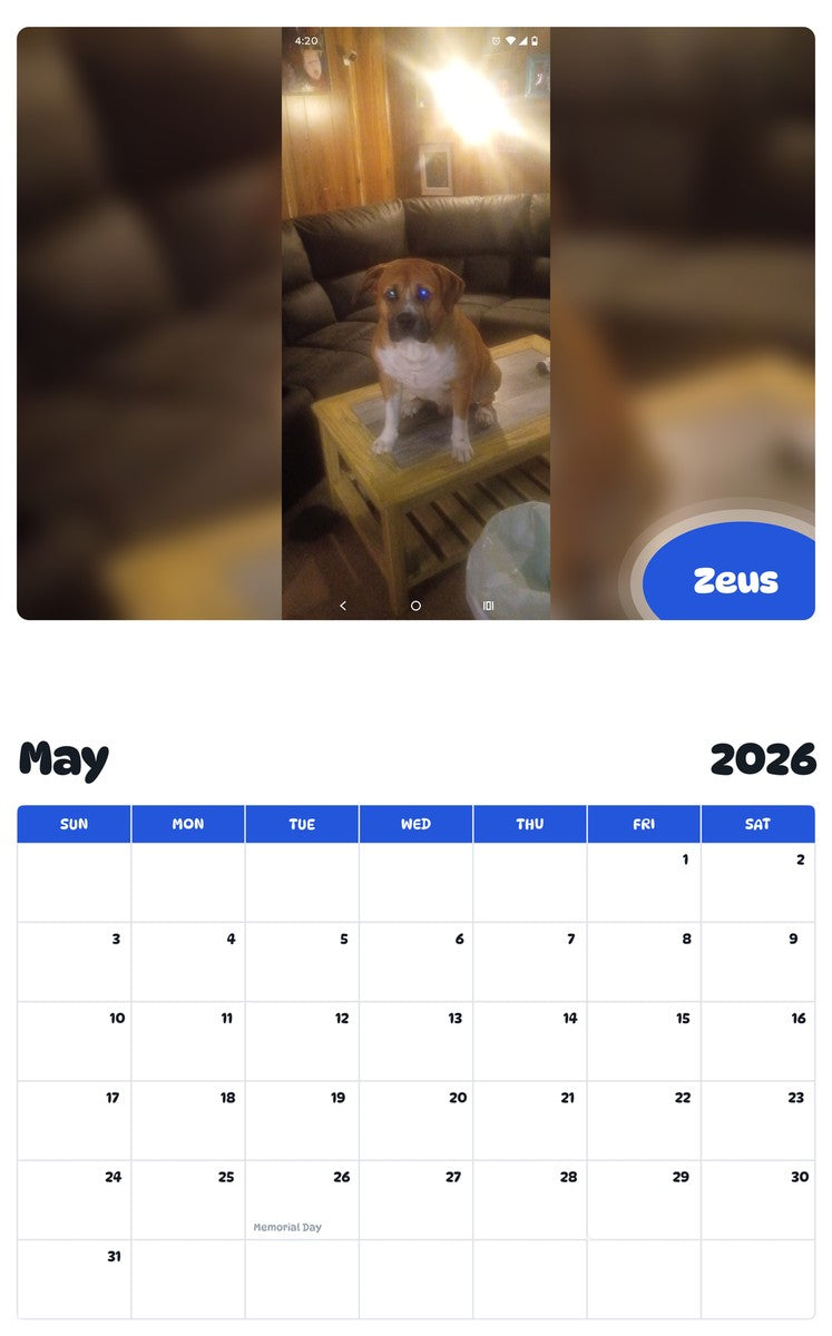 2026 - 2027 Zeus - Pawidols Pet Calendar