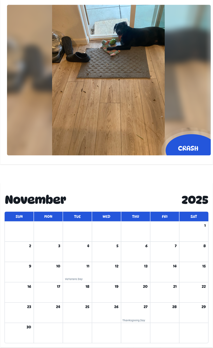 July 2025 - June 2026 Crash - Pawidols Pet Calendar