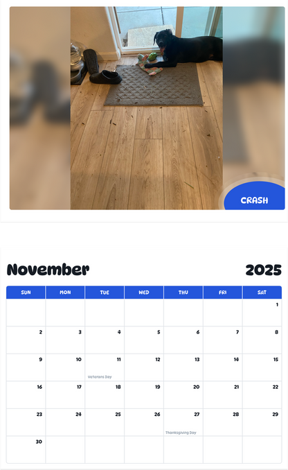 July 2025 - June 2026 Crash - Pawidols Pet Calendar